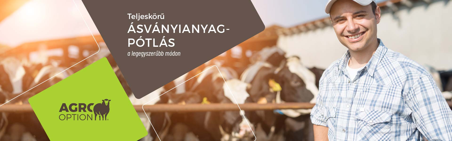 agrooption.hu